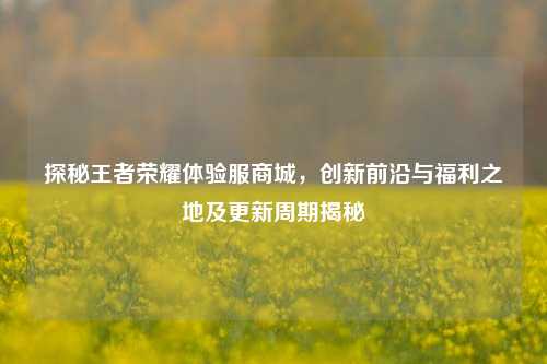 探秘王者荣耀体验服商城，创新前沿与福利之地及更新周期揭秘