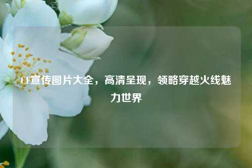 CF宣传图片大全，高清呈现，领略穿越火线魅力世界