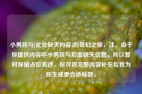 小男孩与[此处缺失内容]的奇幻之旅，注，由于你提供内容中小男孩与后面缺失信息，所以暂时保留占位表述，你可将完整内容补充后我为你生成更合适标题。