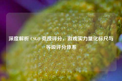 深度解析 CSGO 竞技评分，游戏实力量化标尺与等级评分体系