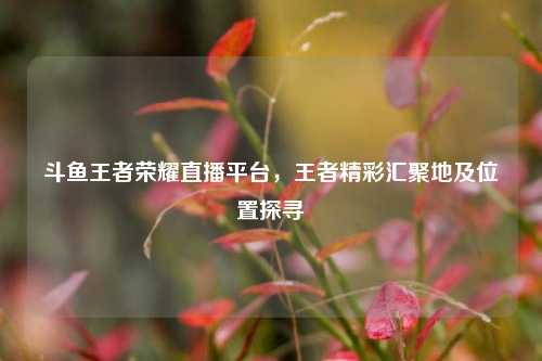 斗鱼王者荣耀直播平台，王者精彩汇聚地及位置探寻