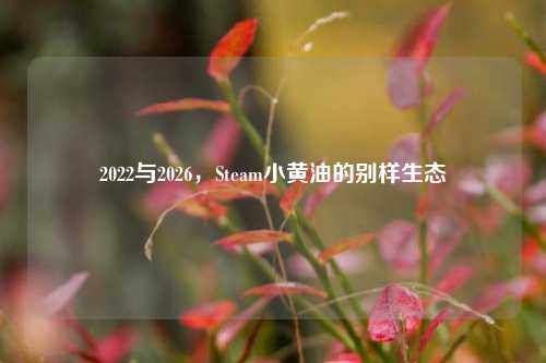2022与2026，Steam小黄油的别样生态