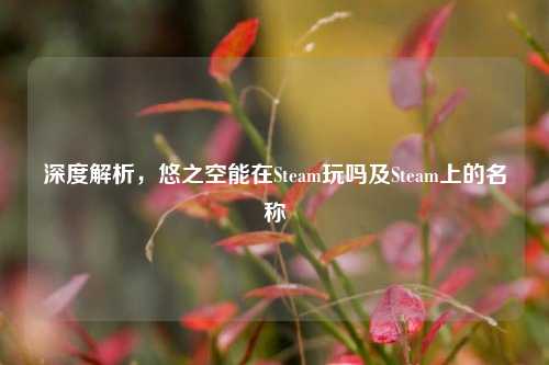 深度解析，悠之空能在Steam玩吗及Steam上的名称