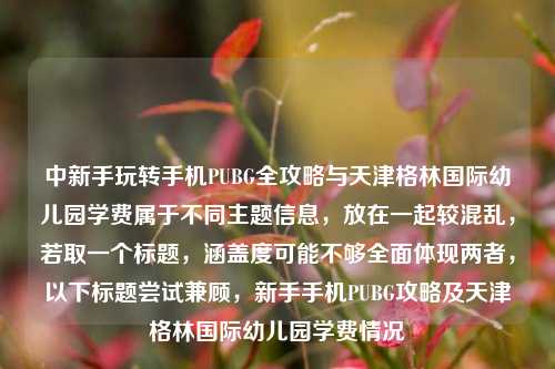 中新手玩转手机PUBG全攻略与天津格林国际幼儿园学费属于不同主题信息,放在一起较混乱,若取一个标题,涵盖度可能不够全面体现两者,以下标题尝试兼顾,新手手机PUBG攻略及天津格林国际幼儿园学费情况