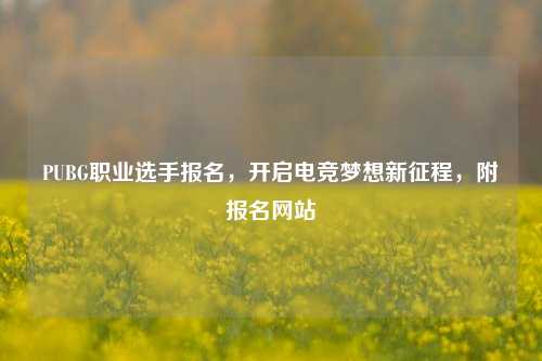 PUBG职业选手报名，开启电竞梦想新征程，附报名网站
