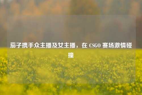 茄子携手众主播及女主播，在 CSGO 赛场激情碰撞