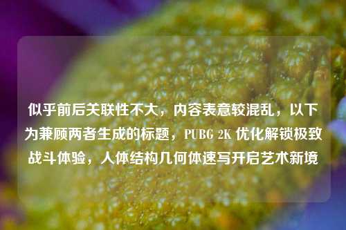 似乎前后关联性不大，内容表意较混乱，以下为兼顾两者生成的标题，PUBG 2K 优化解锁极致战斗体验，人体结构几何体速写开启艺术新境