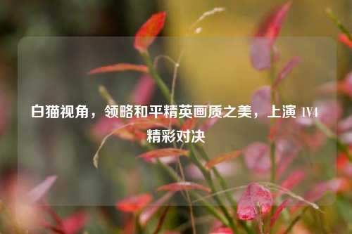 白猫视角，领略和平精英画质之美，上演 1V4 精彩对决