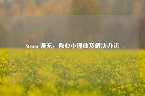 Steam 误充，揪心小插曲及解决办法