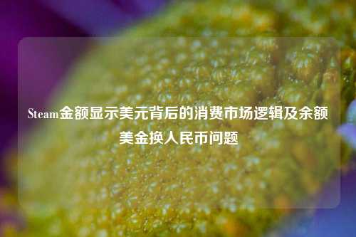 Steam金额显示美元背后的消费市场逻辑及余额美金换人民币问题
