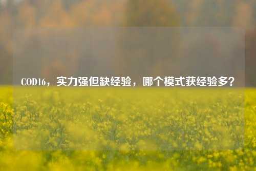 COD16，实力强但缺经验，哪个模式获经验多？