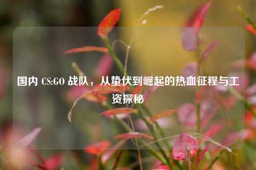 国内 CS:GO 战队，从蛰伏到崛起的热血征程与工资探秘
