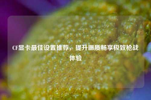 CF显卡最佳设置推荐，提升画质畅享极致枪战体验