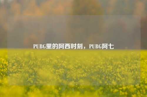 PUBG里的阿西时刻，PUBG阿七