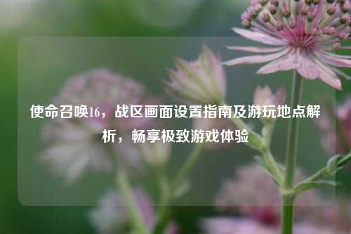 使命召唤16，战区画面设置指南及游玩地点解析，畅享极致游戏体验