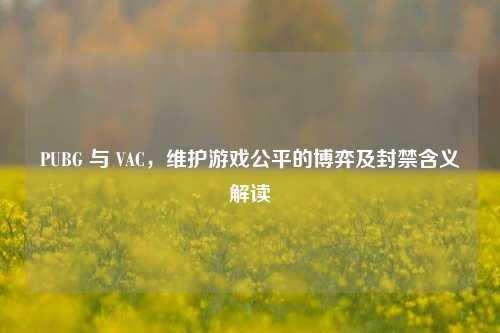 PUBG 与 VAC，维护游戏公平的博弈及封禁含义解读