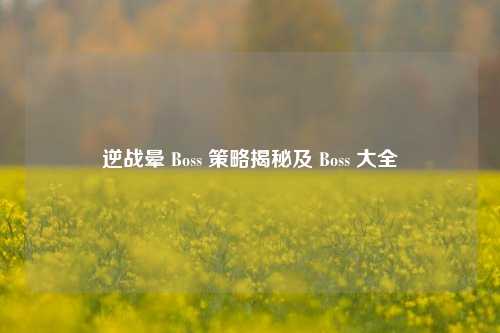 逆战晕 Boss 策略揭秘及 Boss 大全