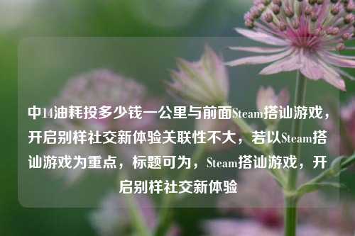 中14油耗投多少钱一公里与前面Steam搭讪游戏，开启别样社交新体验关联性不大，若以Steam搭讪游戏为重点，标题可为，Steam搭讪游戏，开启别样社交新体验