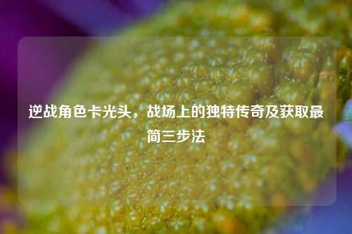 逆战角色卡光头，战场上的独特传奇及获取最简三步法