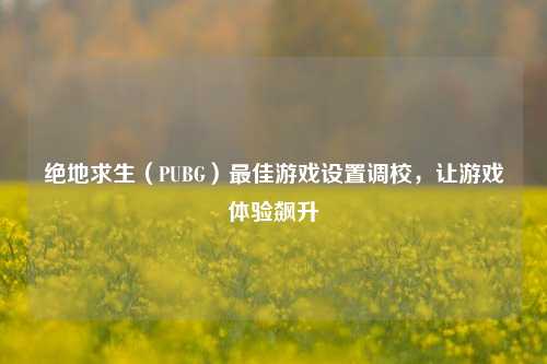 绝地求生（PUBG）最佳游戏设置调校，让游戏体验飙升