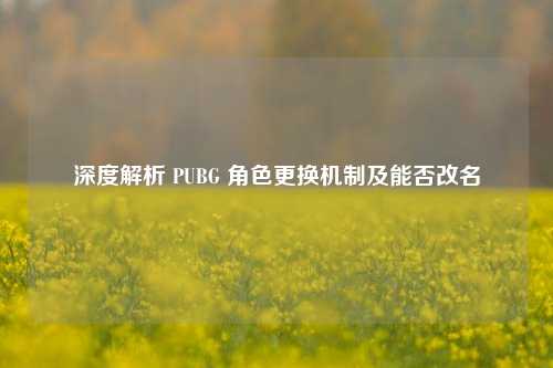 深度解析 PUBG 角色更换机制及能否改名