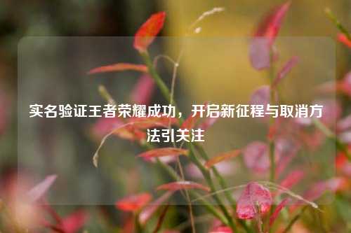实名验证王者荣耀成功，开启新征程与取消方法引关注