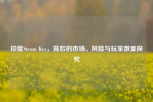 印度Steam Key，背后的市场、风险与玩家数量探究