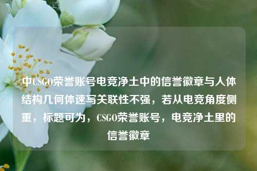 中CSGO荣誉账号电竞净土中的信誉徽章与人体结构几何体速写关联性不强，若从电竞角度侧重，标题可为，CSGO荣誉账号，电竞净土里的信誉徽章