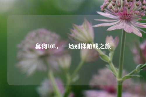 臭狗LOL，一场别样游戏之旅