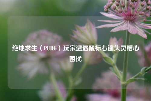 绝地求生（PUBG）玩家遭遇鼠标右键失灵糟心困扰