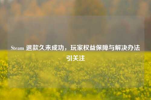 Steam 退款久未成功，玩家权益保障与解决办法引关注