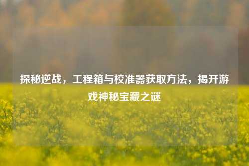 探秘逆战，工程箱与校准器获取方法，揭开游戏神秘宝藏之谜