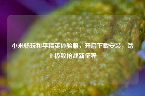 小米畅玩和平精英体验服，开启下载安装，踏上极致枪战新征程