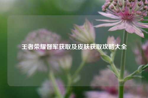 王者荣耀督军获取及皮肤获取攻略大全