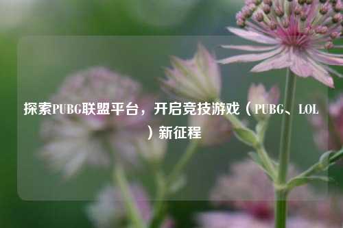 探索PUBG联盟平台，开启竞技游戏（PUBG、LOL）新征程