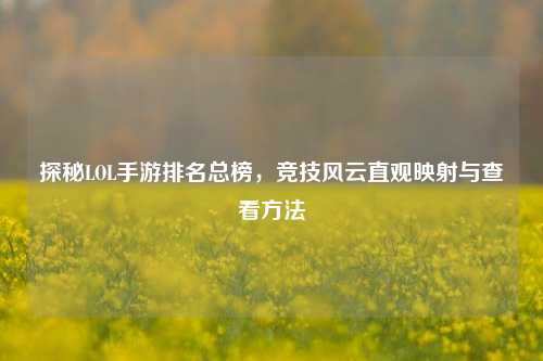 探秘LOL手游排名总榜，竞技风云直观映射与查看方法
