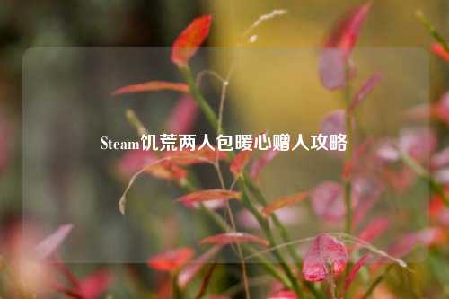Steam饥荒两人包暖心赠人攻略