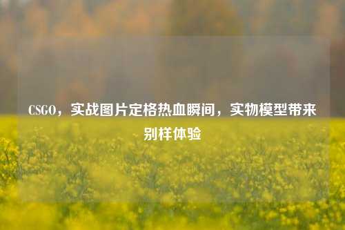 CSGO，实战图片定格热血瞬间，实物模型带来别样体验