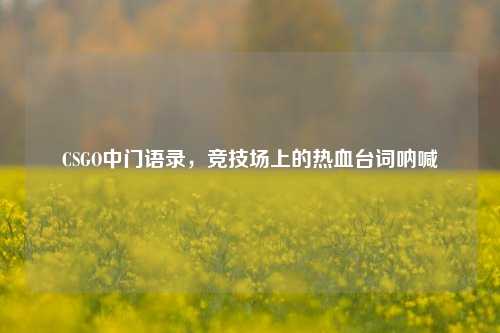 CSGO中门语录，竞技场上的热血台词呐喊