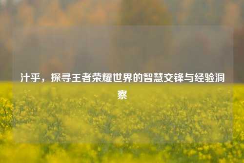 汁乎，探寻王者荣耀世界的智慧交锋与经验洞察