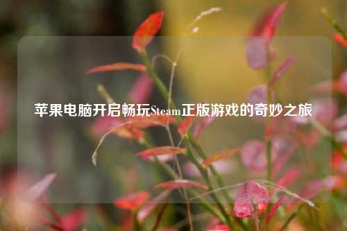 苹果电脑开启畅玩Steam正版游戏的奇妙之旅