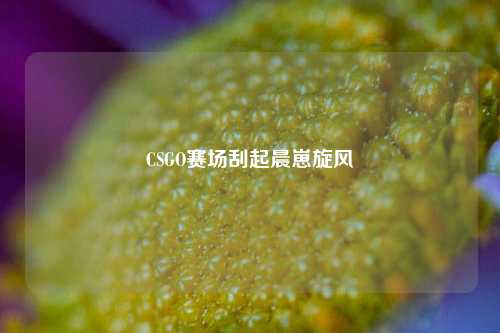 CSGO赛场刮起晨崽旋风