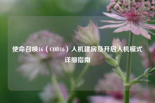 使命召唤16（COD16）人机建房及开启人机模式详细指南
