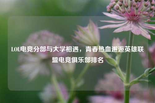 LOL电竞分部与大学相遇，青春热血邂逅英雄联盟电竞俱乐部排名