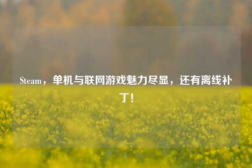 Steam，单机与联网游戏魅力尽显，还有离线补丁！