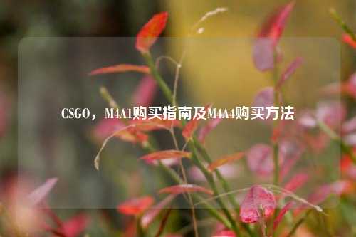 CSGO，M4A1购买指南及M4A4购买方法
