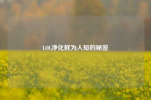 LOL净化鲜为人知的秘密