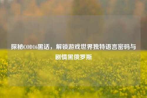 探秘COD16黑话，解锁游戏世界独特语言密码与剧情黑俄罗斯