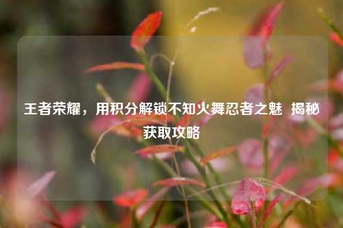 王者荣耀，用积分解锁不知火舞忍者之魅  揭秘获取攻略