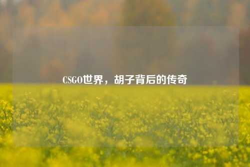 CSGO世界，胡子背后的传奇